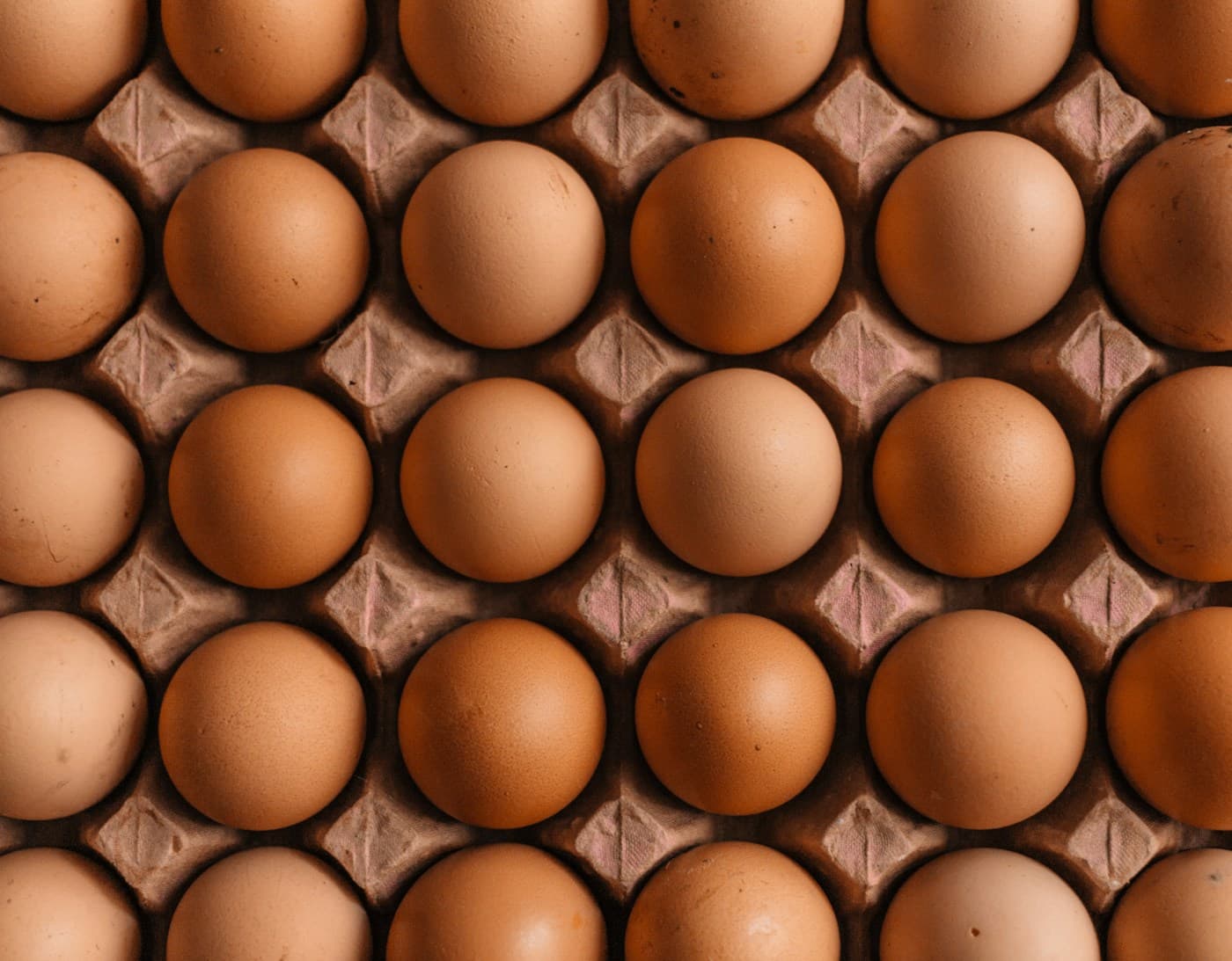 Œufs frais présentés dans leur carton