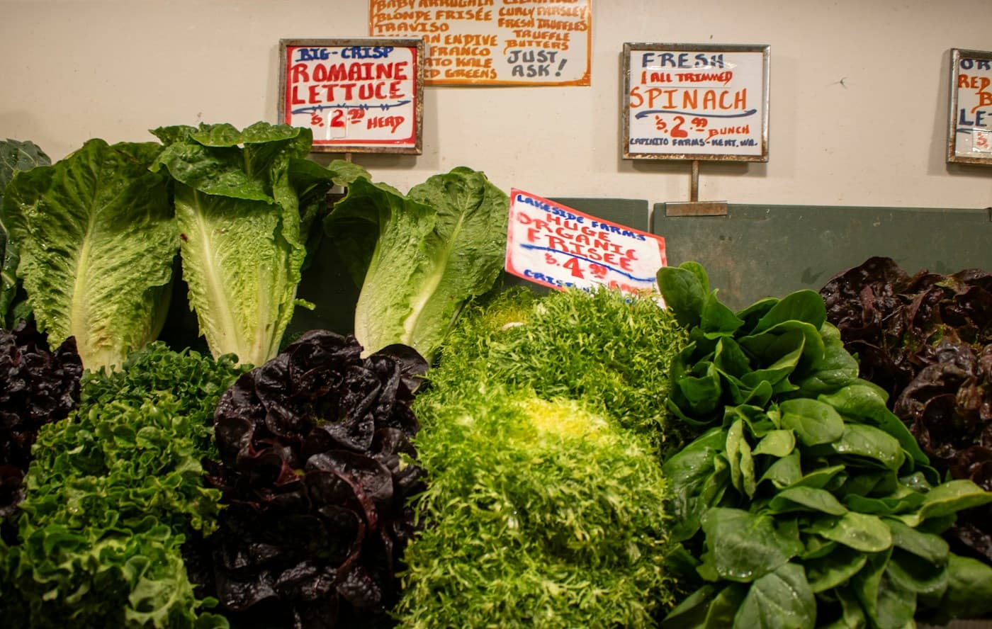Légumes verts fraîchement récoltés